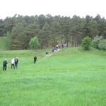 Borgås borgbacke